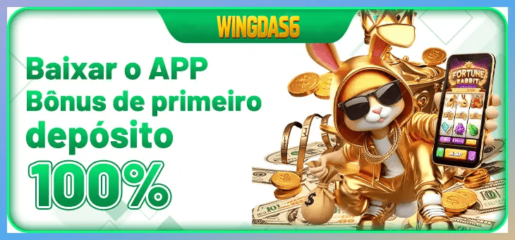 WINGDAS6 FAQ — perguntas frequentes usuários Brasil